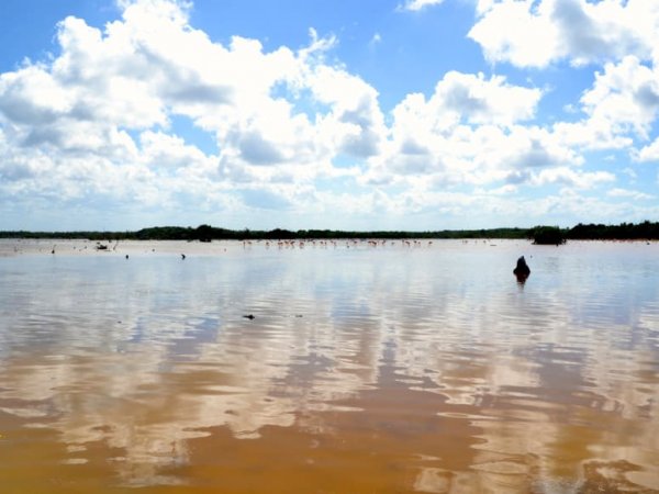 Ek Balam - Río Lagartos (1)