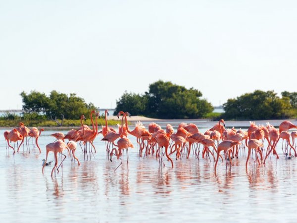 Ek Balam - Río Lagartos (6)