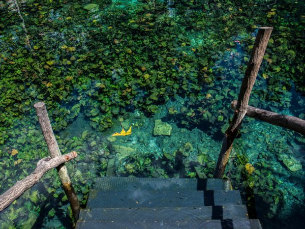 Ruta Ha' 3 Cenotes (2)