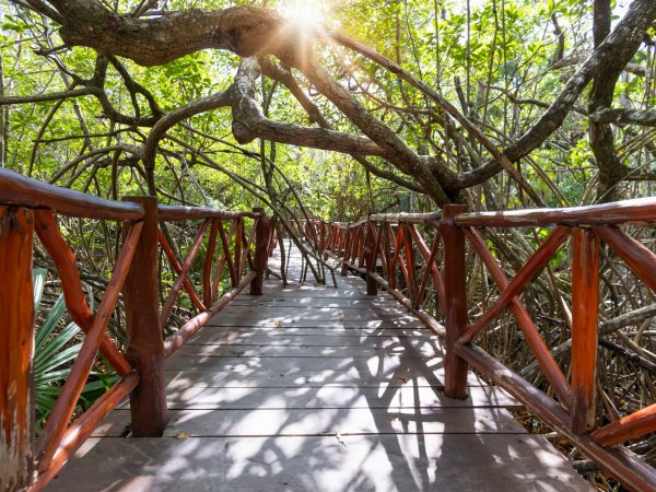 Tulum - Casa Tortuga - Comida (5)