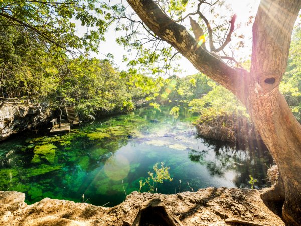 Tulum - Cobá - Gran Cenote (1)
