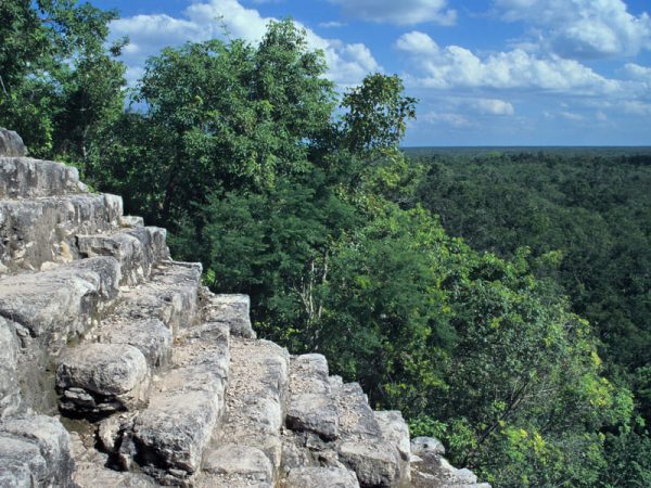 Tulum - Cobá - Gran Cenote (3)
