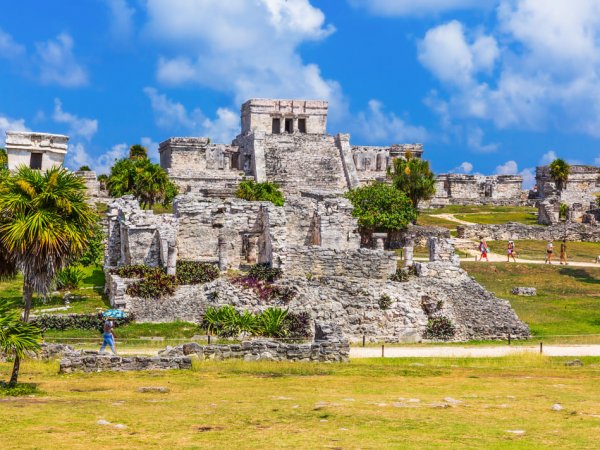 Tulum + Tortugas (Akumal) + Comida (1)