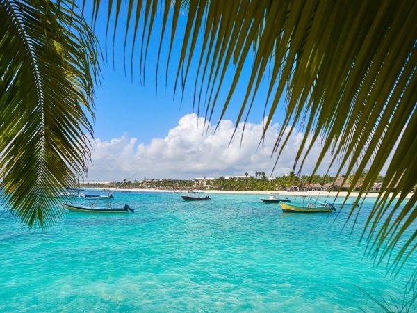 Tulum + Tortugas (Akumal) + Comida (3)