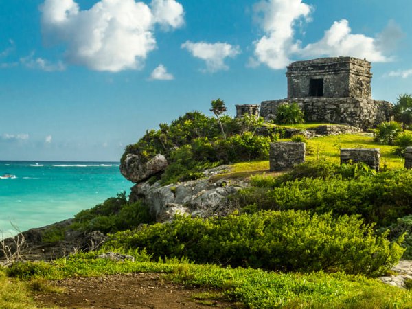 Tulum + Tortugas (Akumal) + Comida (6)