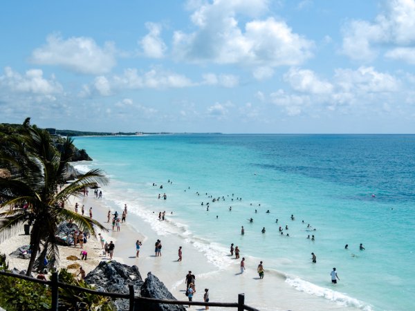 Tulum + Tortugas (Akumal) + Comida